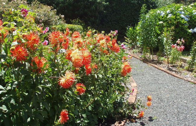 Boat Harbour Garden Cottages - Foto 30