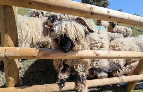 Parlour Barn - Photo 66