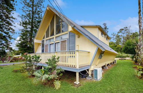 Sea Turtle Life - Photo 52