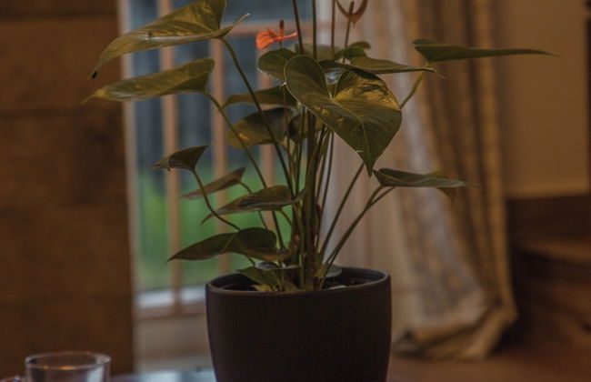 CozyVillas - Photo 41