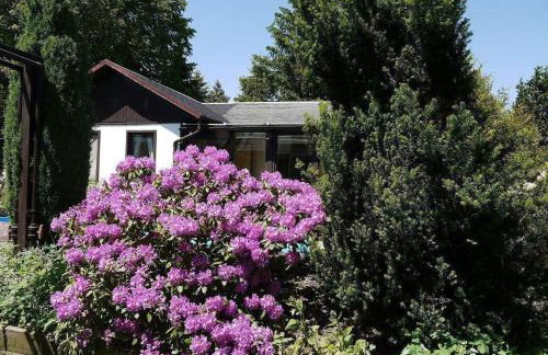 Holiday Home in Maxen mit Privatem Pool by Interhome - Foto 5