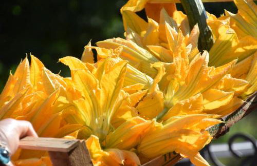 B&B Scacco Matto - Foto 40