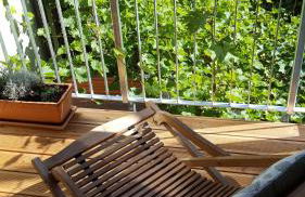 Haus zum wilden Manne - Foto 24