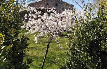 Eco-Chalet Casa delle Volpi - Agriturismo Volpignano - Foto 13