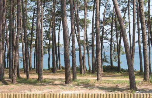 Apartamento playa Illa de Arousa - Foto 21