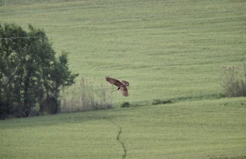 Agriturismo bio Verde Armonia - Photo 46