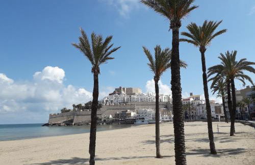 BONITAS VISTAS - Photo 38