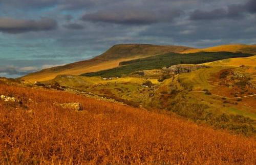 Private Pub-Group Stays Brecon Beacons Alderfalls - Photo 65