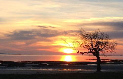 Au calme, maison T3 neuf avec Jardin à Cassy - Foto 9