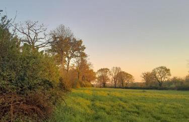La Chouette Hulotte - Foto 52