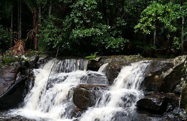 Bellthorpe Stays - Foto 58