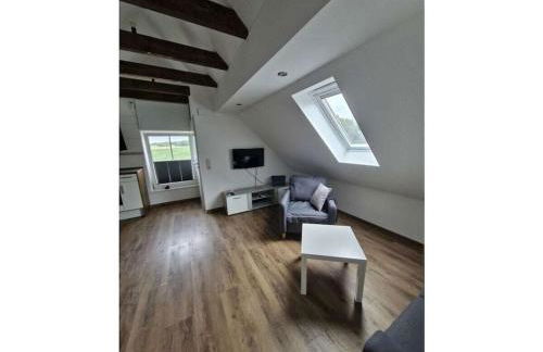 woolly prospects - Foto 8