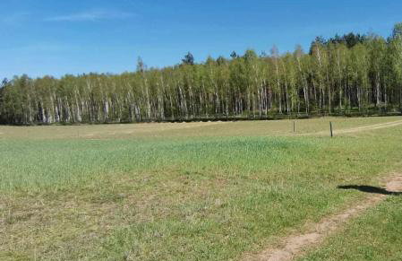 Dom za wydmą - Foto 49