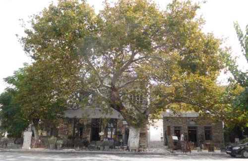 Traditional house inside Filoti, Naxos - Foto 53