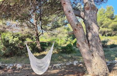 Mas de Caussagues, la Presqu'ile - Foto 36