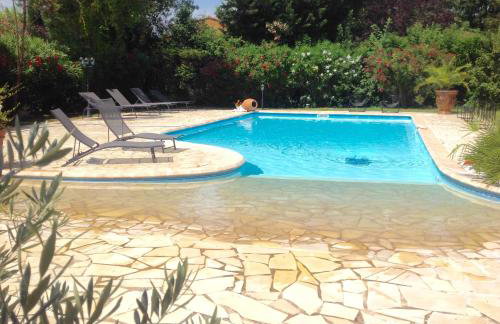 Les Muscades - Foto 11