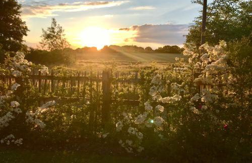 Melford Allotment Shed-Vintage Lodge Suffolk - Foto 16