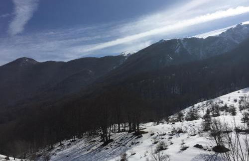 Guest Art Campitello Matese - Foto 63