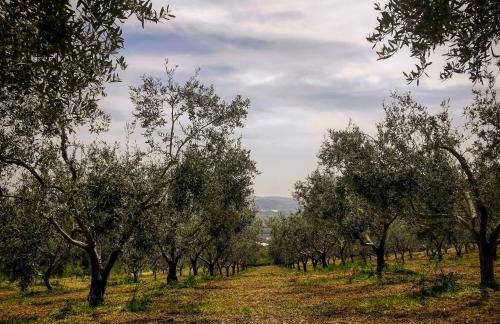 VILLA ALESSI - dimora storica - Foto 18