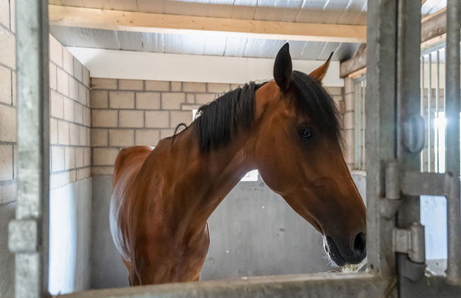 Lush Holiday Home With a Private Hot Tub - Foto 33