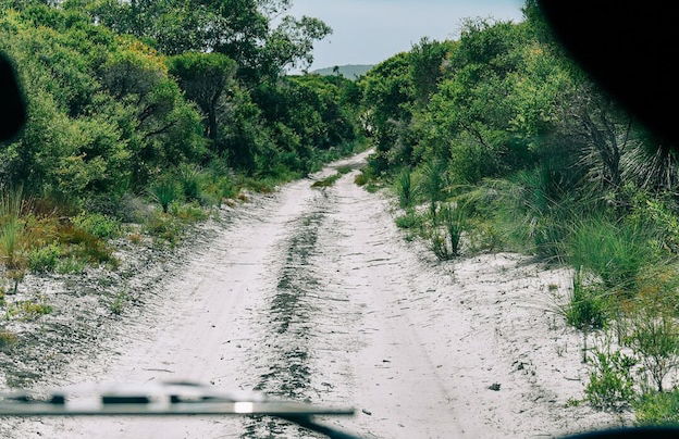 Surfaris Retreat - Foto 12