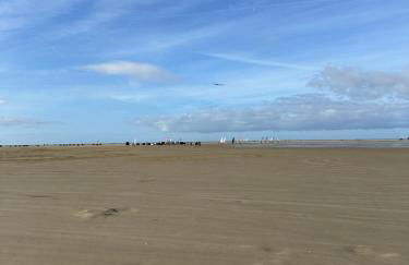 Alte Stellmacherei Langenhorn - Foto 49