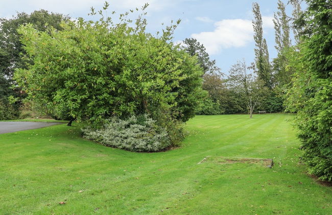 Peak Manor - Photo 8