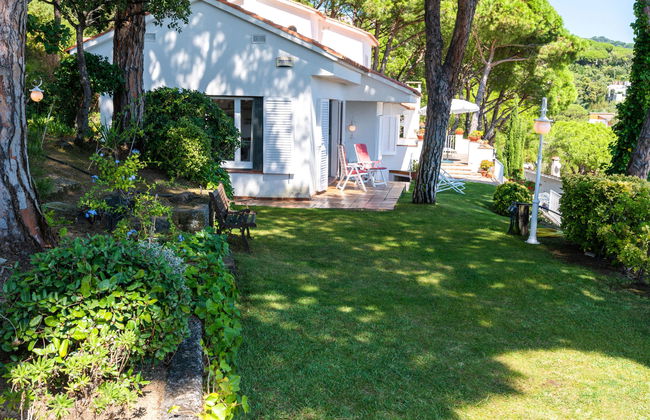 La Marina Blanca - Foto 28