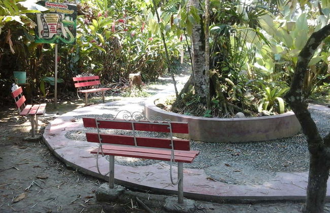 Tingo María Tour - Foto 6