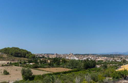 Molí D,en Barret - Foto 3