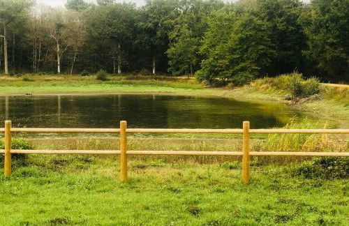 Évasion champêtre : Maison avec piscine, tennis, et étang au cœur de 50 hectares de forêt - FR-1-410-307 - Photo 30