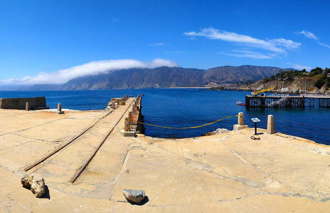 Excursion à l'île Noire, Algarrobo et Quintay - Photo 4