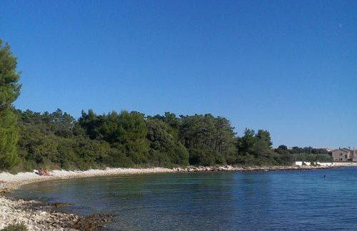 Apartments with garden - Foto 42