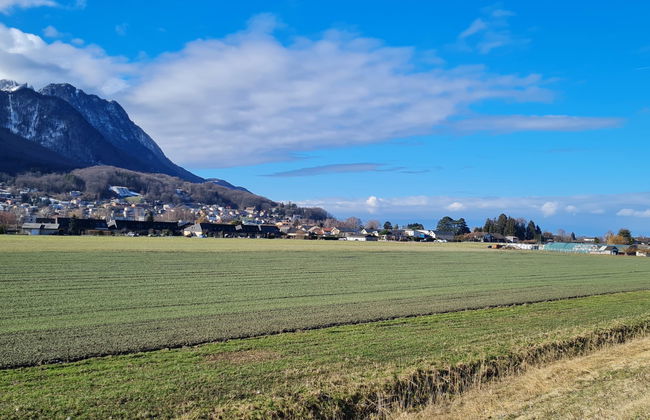 Bougainville C3/R - Foto 39