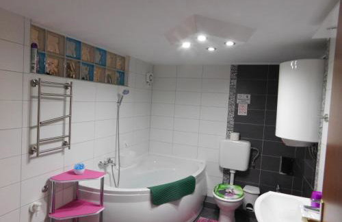 Apartmani Tognon - Foto 42