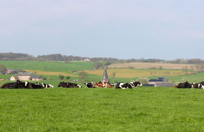 Delightful Holiday Home in Voeren near Forest - Foto 37