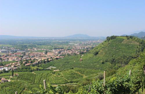 Agriturismo Villa Panigai - Foto 24