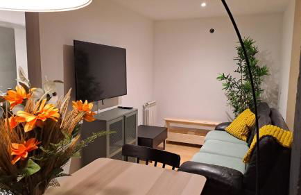 SG Apartamentos, Silió 4B AT 47-79 - Foto 36