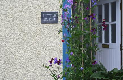 Little Egret - Foto 22