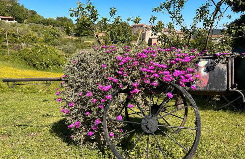 Historic Farmhouse Casa Del Chiodo - Foto 34