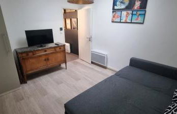 Villa Tré les Pins, 7 chambres, à 100m du LAC DE LACANAU - Foto 14