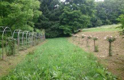 Casa "Dolina Kraljevac" - Foto 53