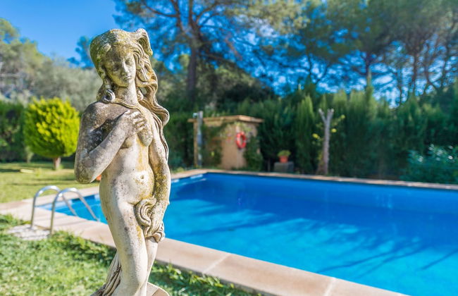 Els Pins in Sa Pobla - Foto 30