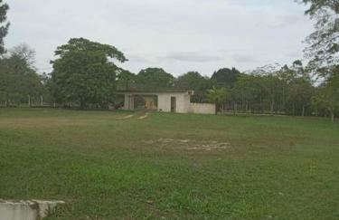 Chácara em São Pedro com piscina e churrasqueira - Foto 26