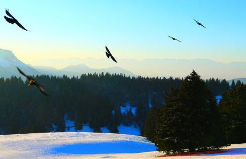 La Brison-T'Inn - Foto 17