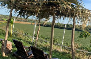 El Lagar de los Abuelos - Foto 29