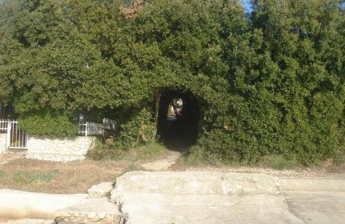 Villa Laurus I - Foto 62