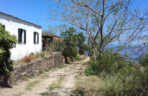 Ikarian Centre - Accommodation & mountain hiking - Photo 31