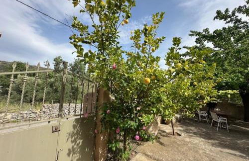 Πυργοσπιτο Χαντζακου - Foto 32