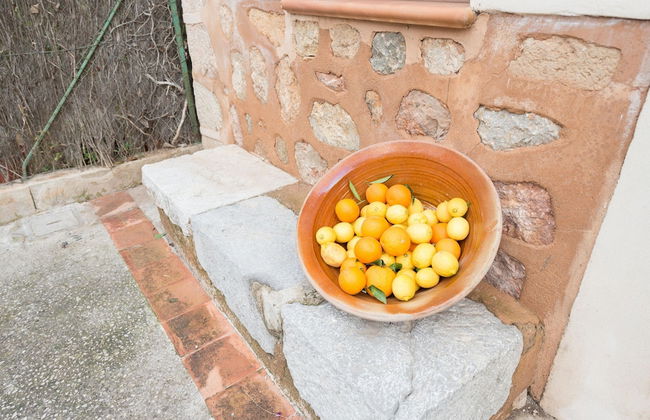 Can Raia in S Ller With 4 Bedrooms and 2 Bathrooms - Foto 25